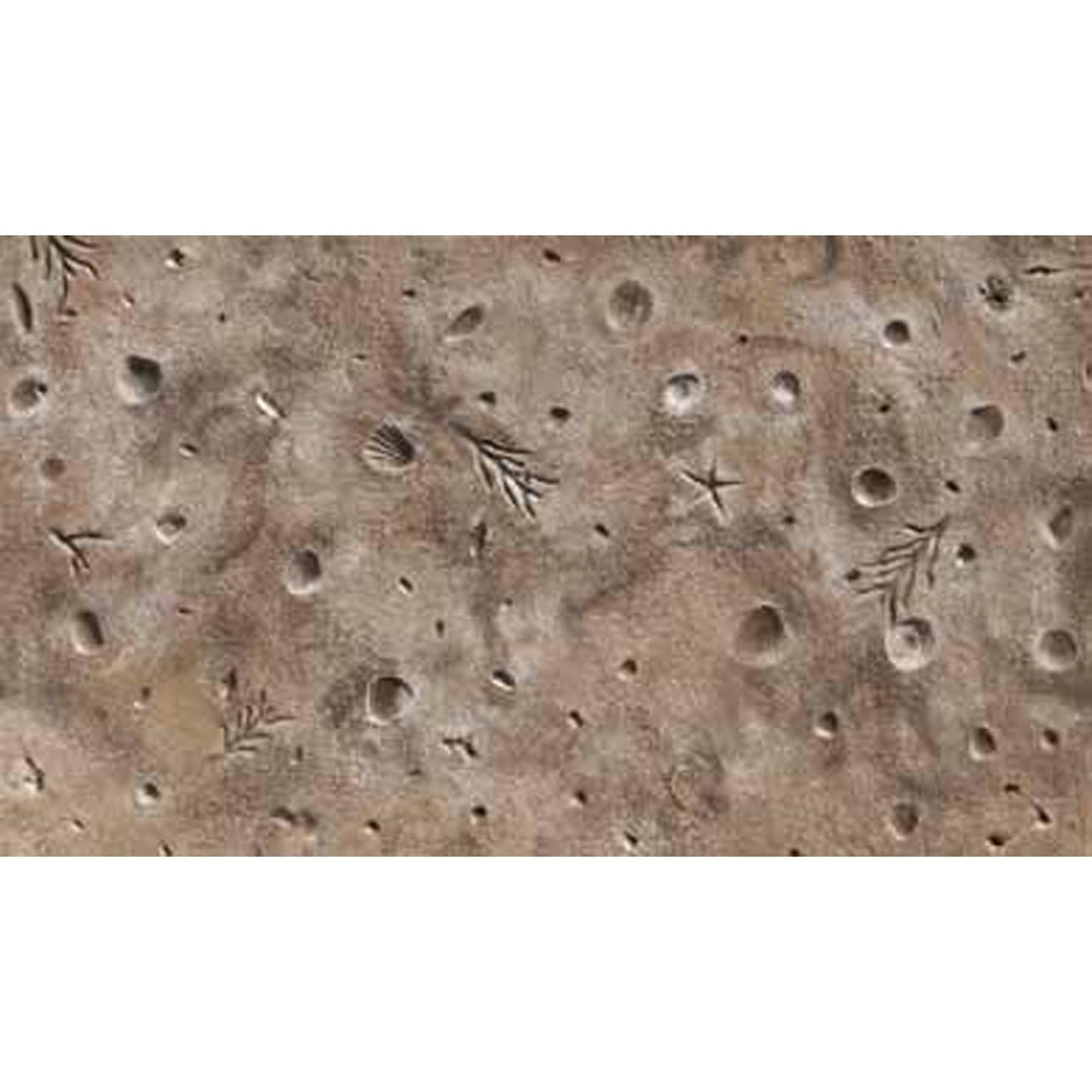 Bon Tool Gulf Coast Shells Texturing Skin