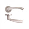 Fortuna Satin Finish Handle