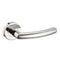 Raven Polished Steel Latch Pack