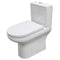 Deluxe 45cm High Close Coupled Full Access WC Pan in Alpine White