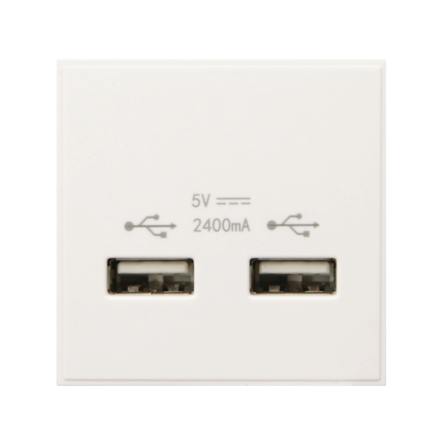 Caradok 2G 2400mA USB Charger 50x50, White