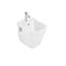 The Gap Wall Hung Bidet
