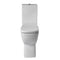 Piccolo Close Coupled Toilet with Open Access Back