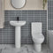 Vetta Cloakroom Suite