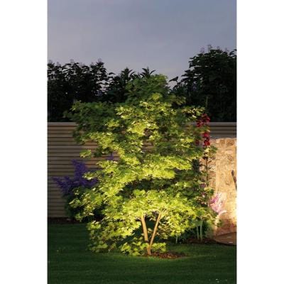 Outdoor Plug & Shine LED Garden Spotlight Sting