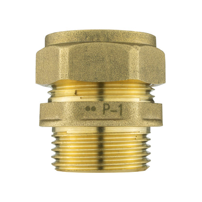 IBC 2” S60X6 Cap with Brass Compression Straight ¾” BSP – 22mm