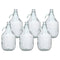 Glass Demijohn 5L 6 Pack Plain