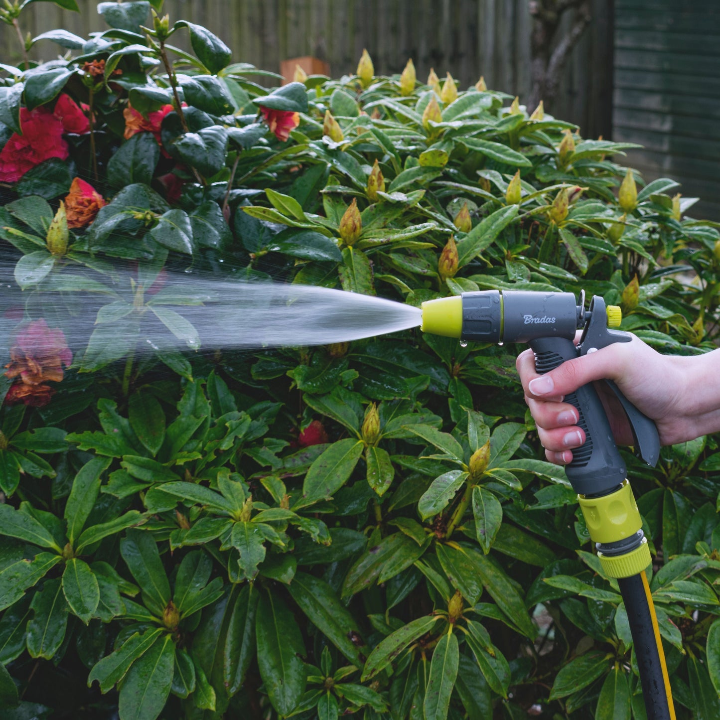 Hose Gun Water Sprayer Adjustable, Lime