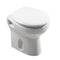 Laura Back To Wall Toilet Pan