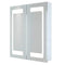 LED Illuminated Mirrored Recessable Cabinet