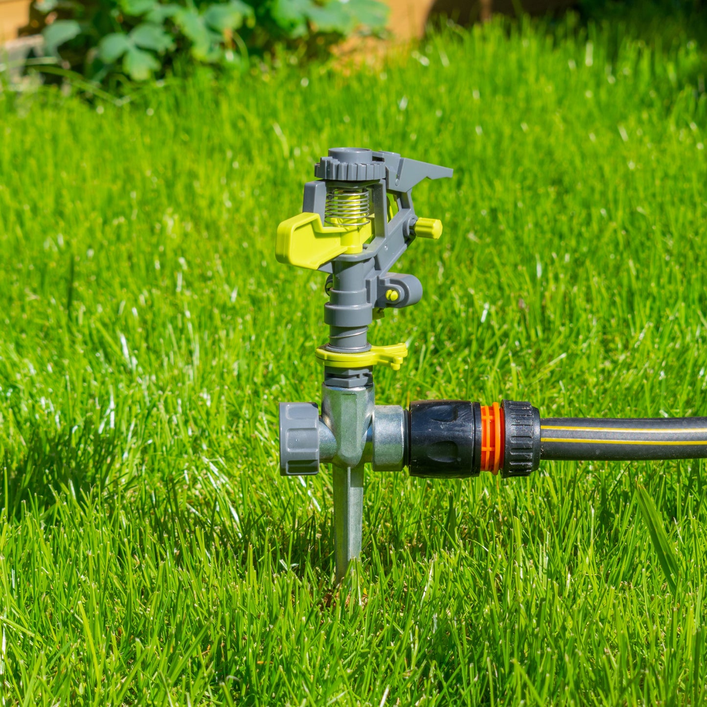 Pulsating Sprinkler on Spike Lime