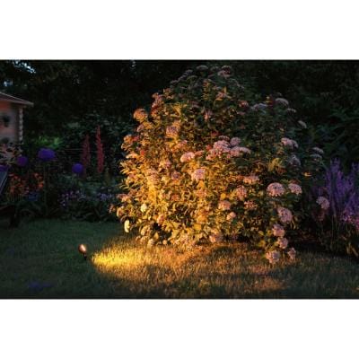 Outdoor Plug & Shine LED Garden Spotlight Sting Individual Spotlight - Gold Light Insect Friendly