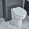 Monty Back To Wall Toilet