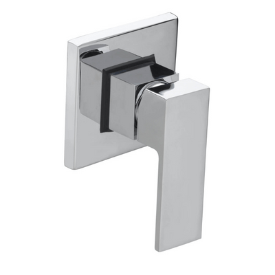 Move Concealed Chrome Shower Valve