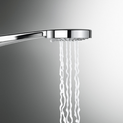 Stella 3 Function Hand Shower