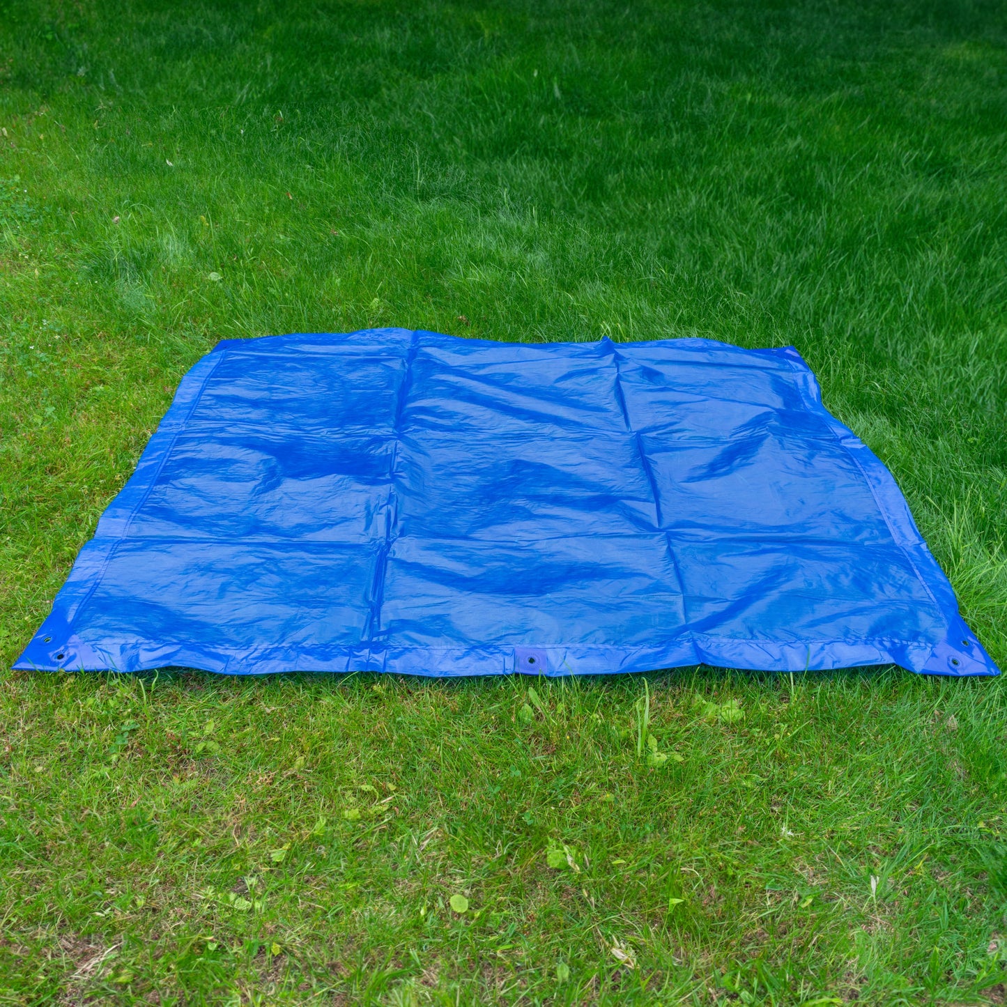 M-Grade LLDPE Blue Tarpaulin 2m x 3m