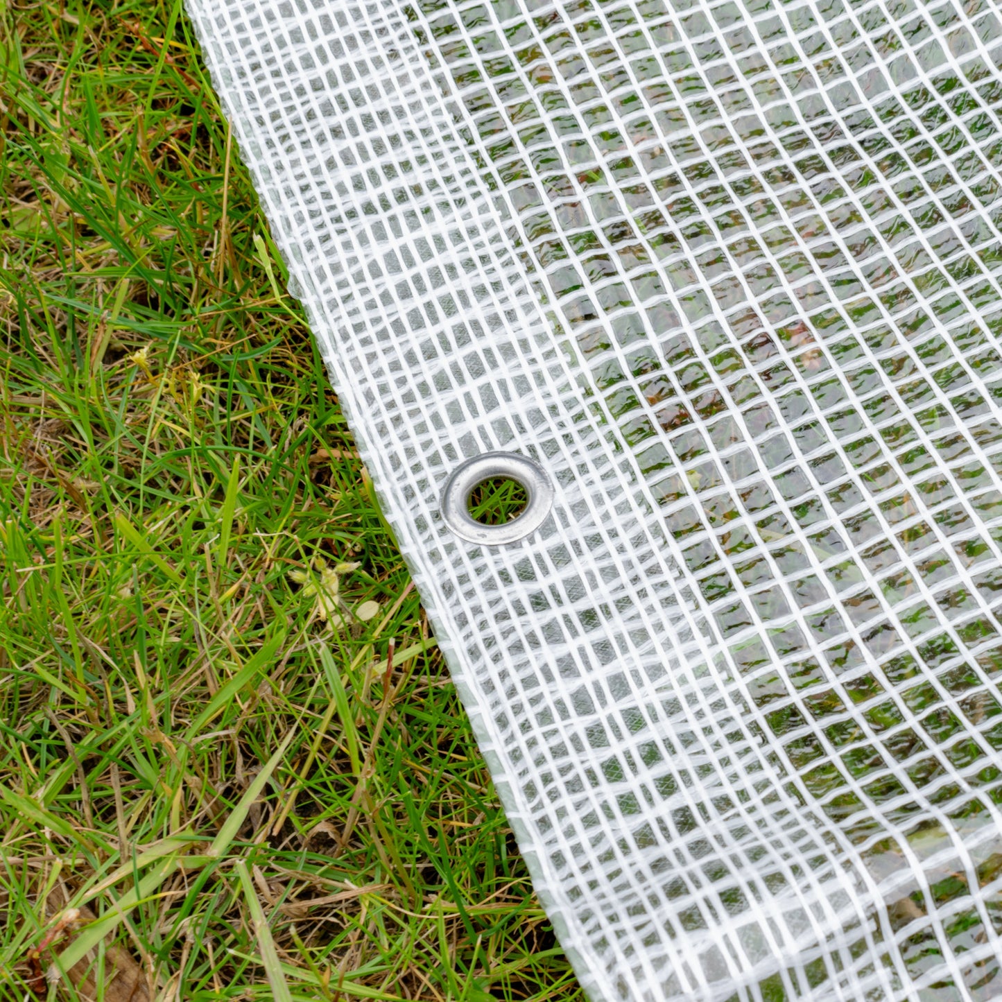 Clear M-Grade Tarpaulin 6m x 6m