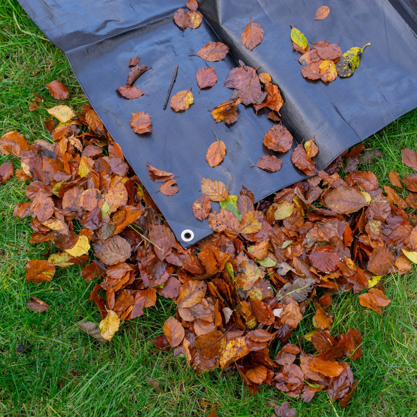 Black/Silver L-Grade Tarpaulin 8m x 10m