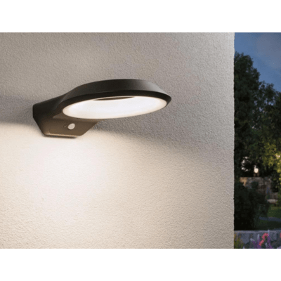 Outdoor 230V Anela Motion Detector LED Exterior Wall Light
