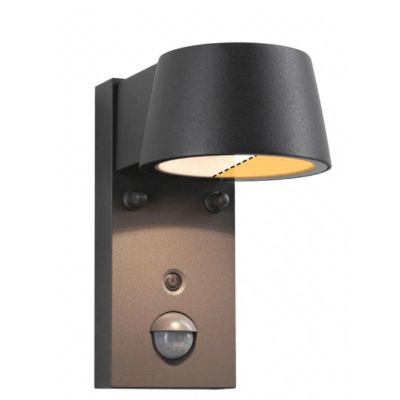 Outdoor 230V Capera Motion Detector Insect Friendly LED Exterior Wall Light