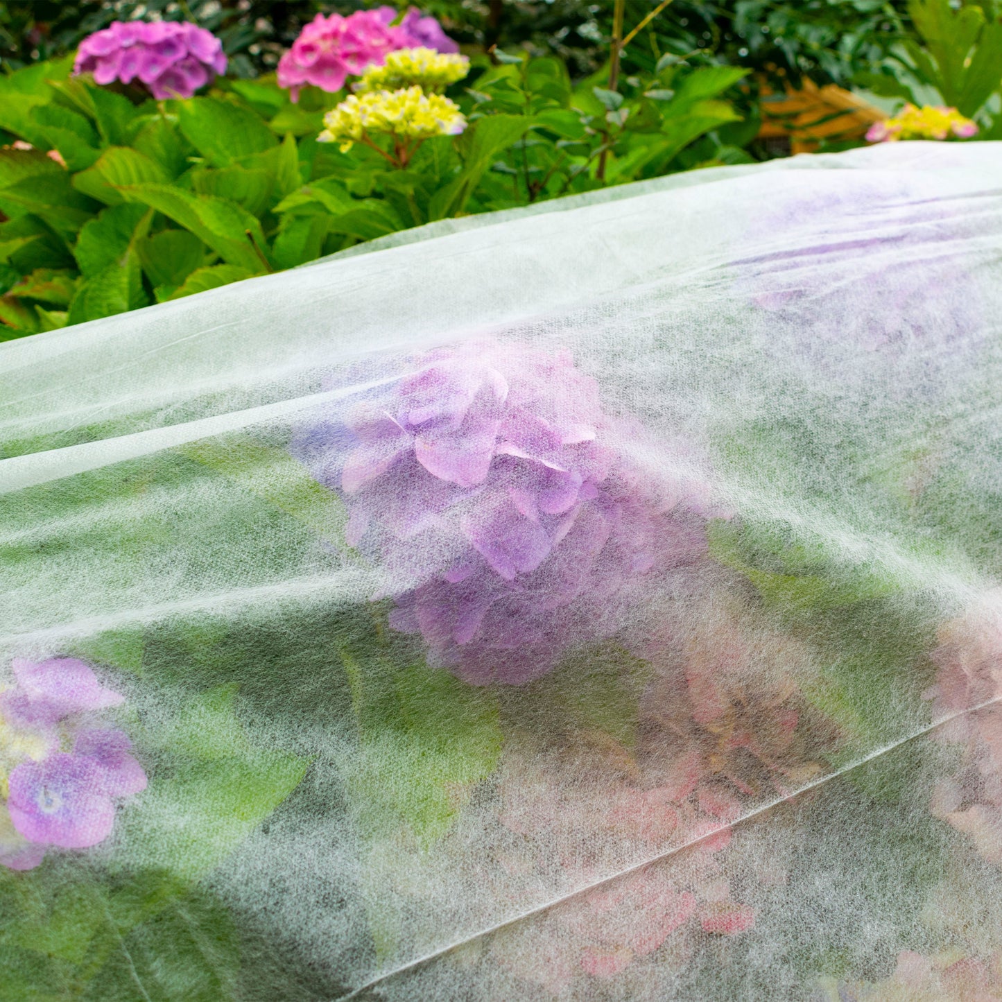 17g Non-Woven Frost Protect Fleece 1.6m x 10m