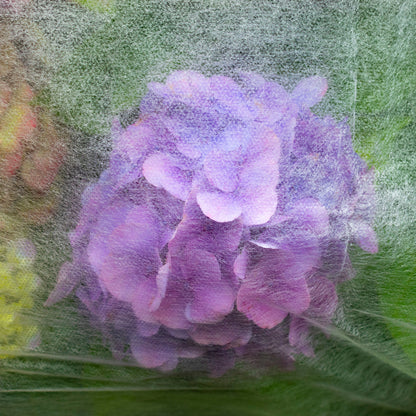 17g Non-Woven Frost Protect Fleece 1.6m x 5m