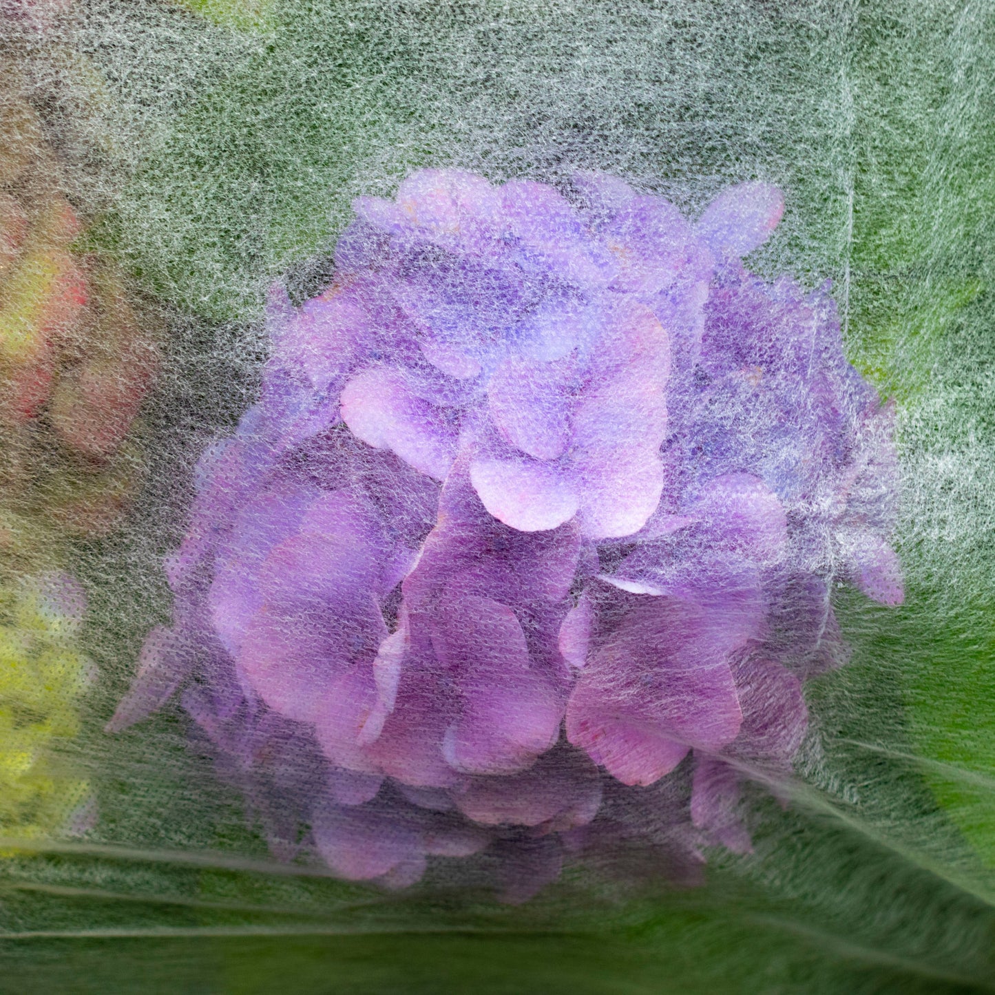 17g Non-Woven Frost Protect Fleece 1.1m x 10m