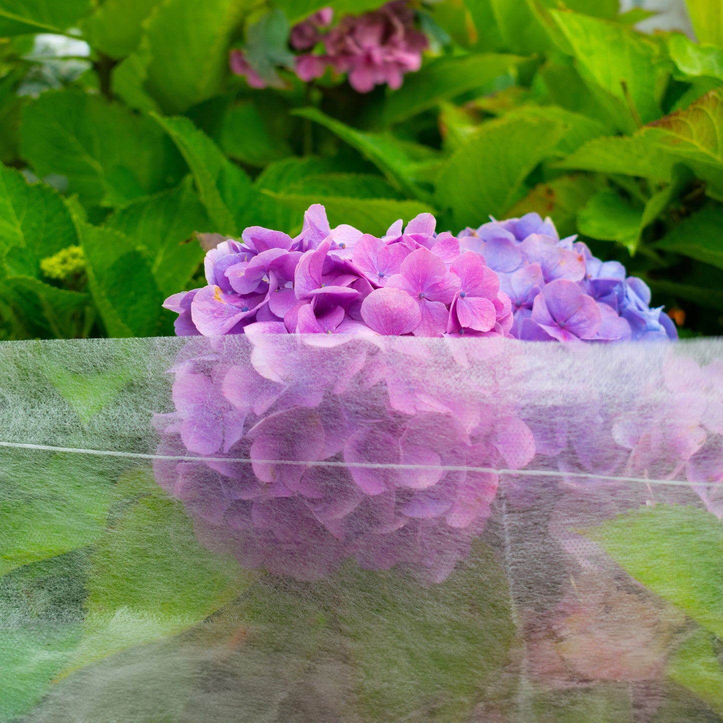 17g Non-Woven Frost Protect Fleece 3.2m x 10m