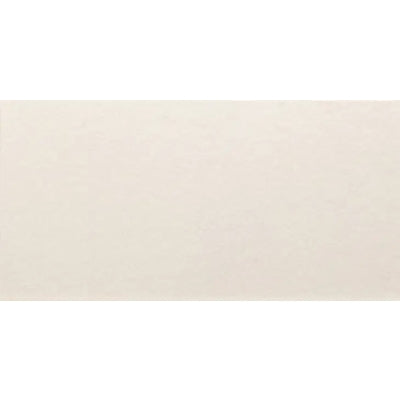 Dome Matt White 250mm x 500mm (13 per Box)