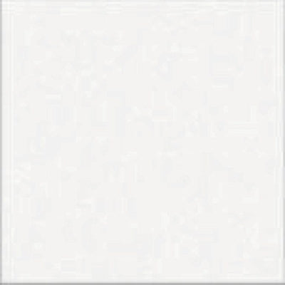 Flat Gloss White (44 per box)