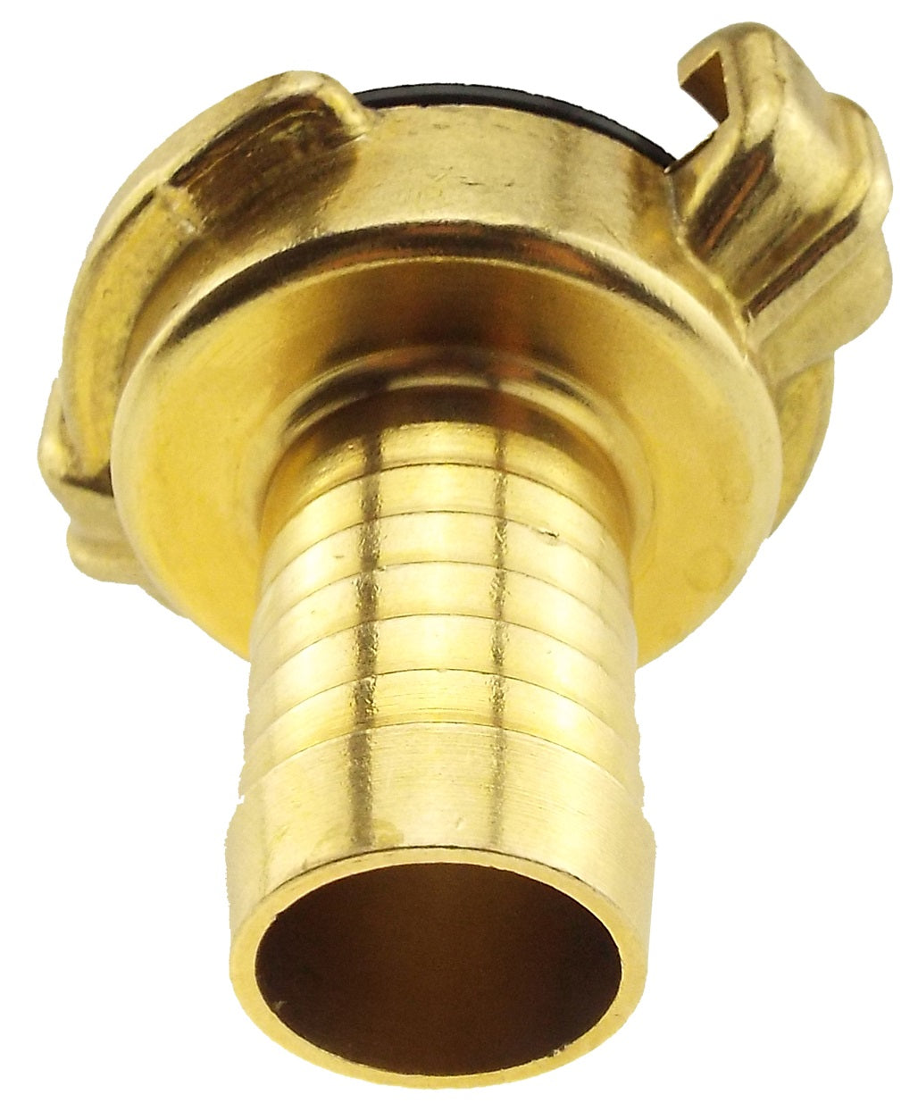 Claw Brass - 3/4" Hose