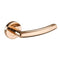 Phoenix Rose Gold Handle Hardware Pack Privacy