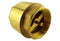 Brass Spring Check Valve 1" BSPF
