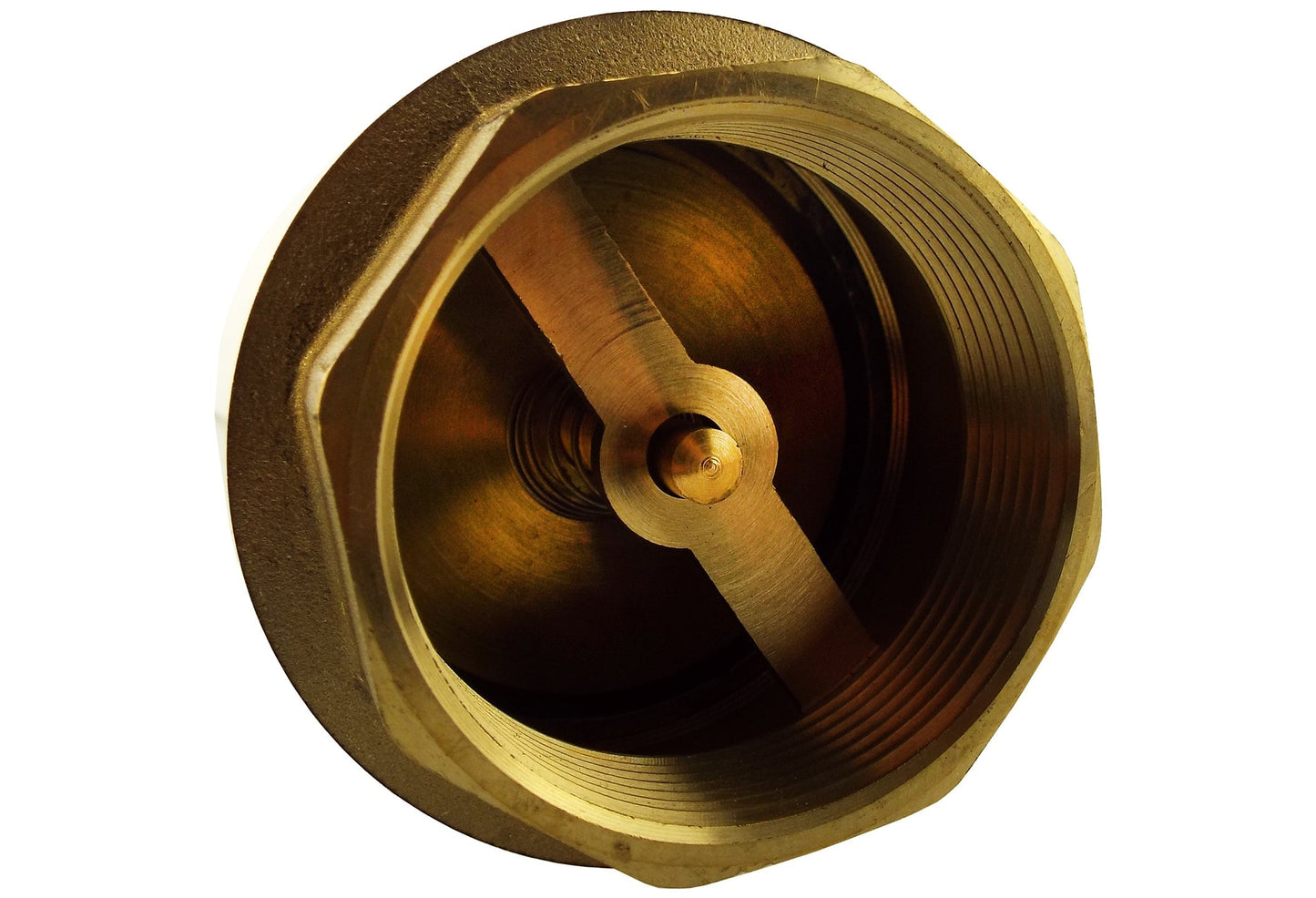 Brass Spring Check Valve 3/4" BSPF